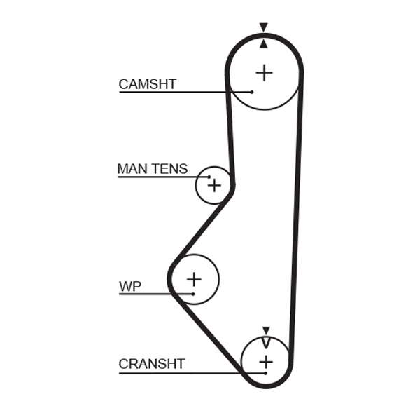 COURROIE DISTRIBUTION
