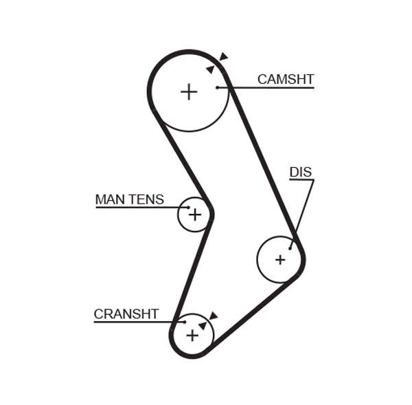COURROIE DISTRIBUTION
