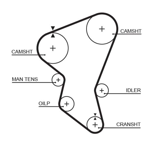 COURROIE DISTRIBUTION