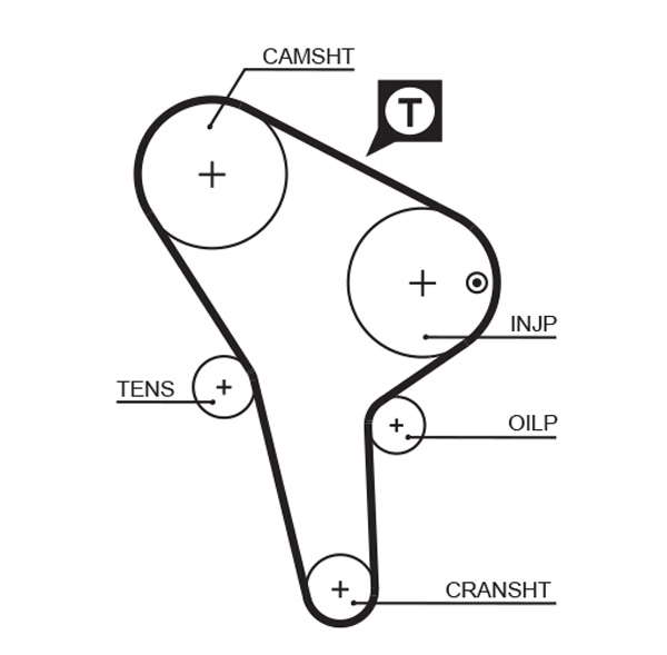 COURROIE DISTRIBUTION