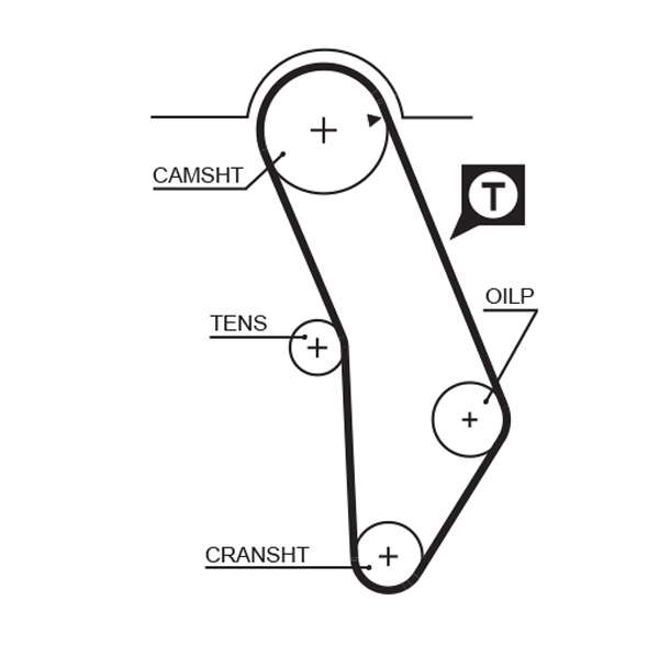 COURROIE DISTRIBUTION
