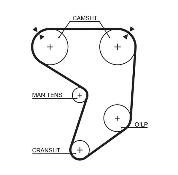 COURROIE DISTRIBUTION