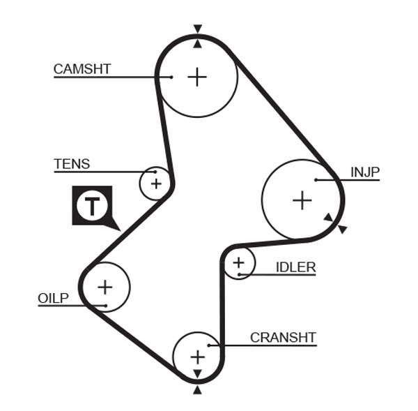 COURROIE DISTRIBUTION
