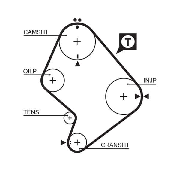 COURROIE DISTRIBUTION