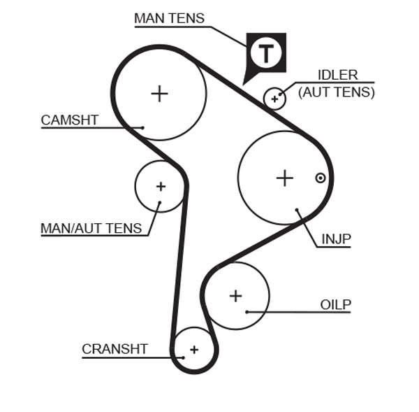 COURROIE DISTRIBUTION