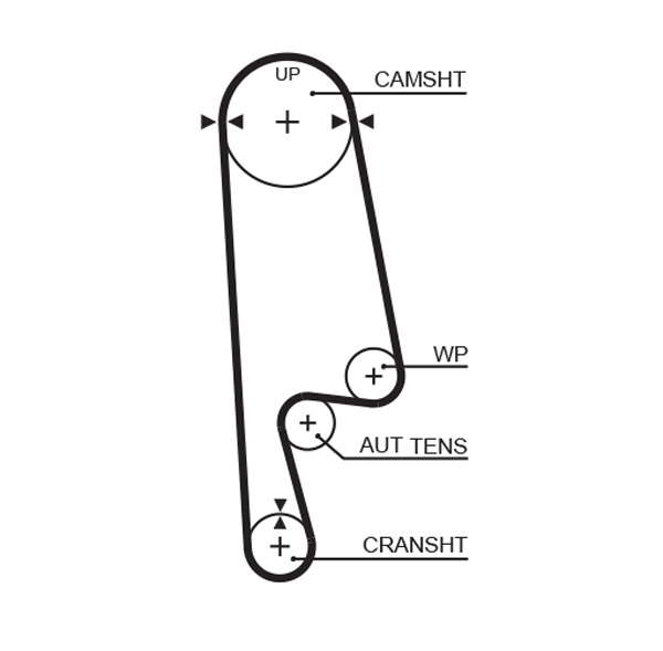 COURROIE DISTRIBUTION