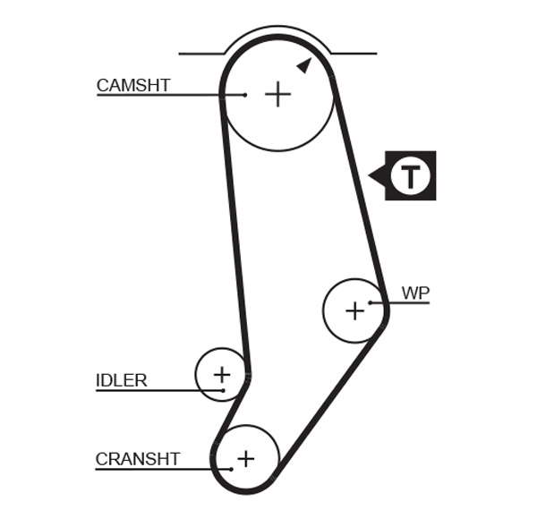 COURROIE DISTRIBUTION