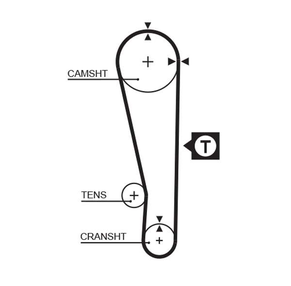COURROIE DISTRIBUTION