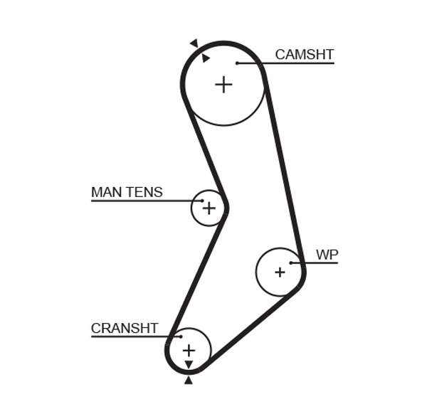 COURROIE DISTRIBUTION
