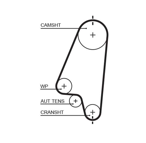 COURROIE DISTRIBUTION