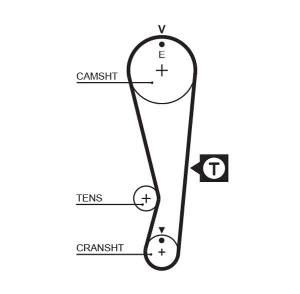 COURROIE DISTRIBUTION