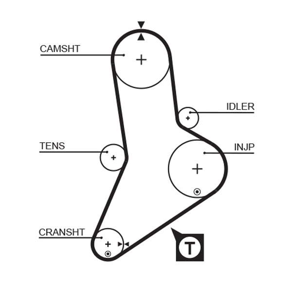 COURROIE DISTRIBUTION