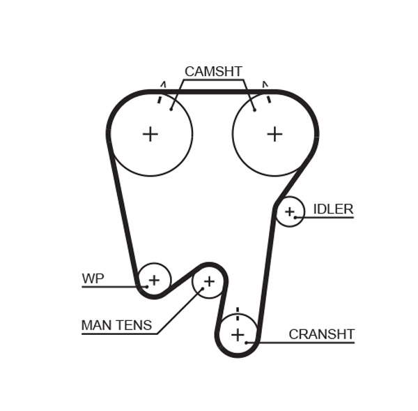COURROIE DISTRIBUTION