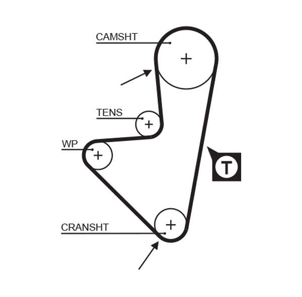 COURROIE DISTRIBUTION
