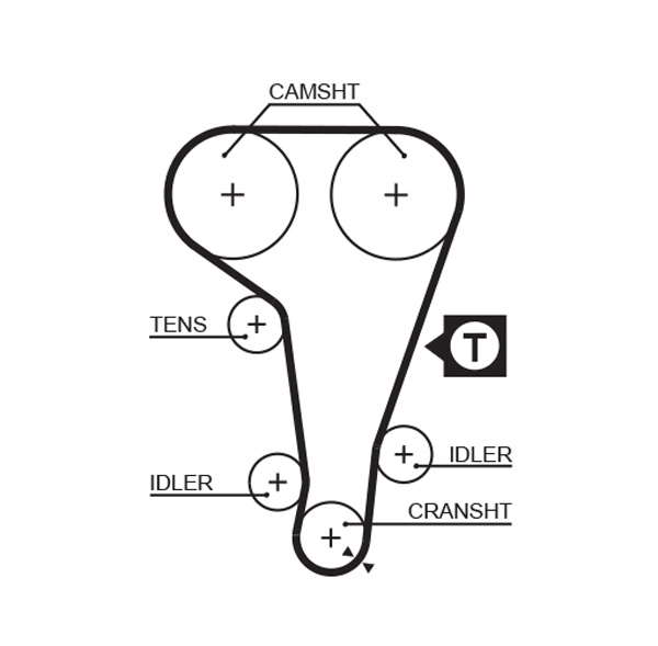 COURROIE DISTRIBUTION