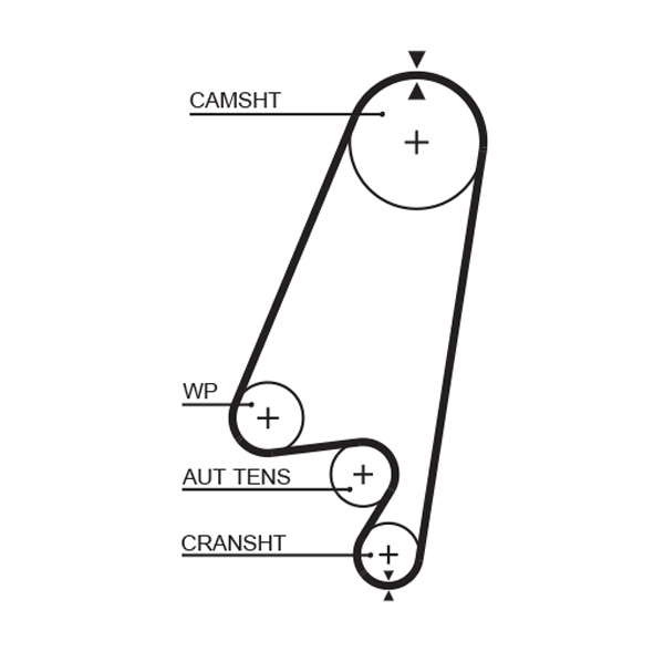 COURROIE DISTRIBUTION