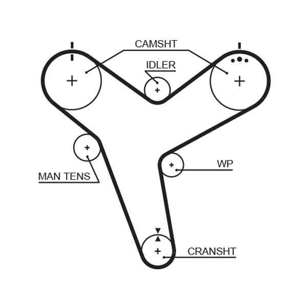 COURROIE DISTRIBUTION