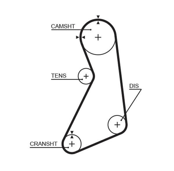 COURROIE DISTRIBUTION