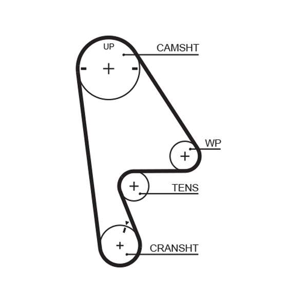 COURROIE DISTRIBUTION