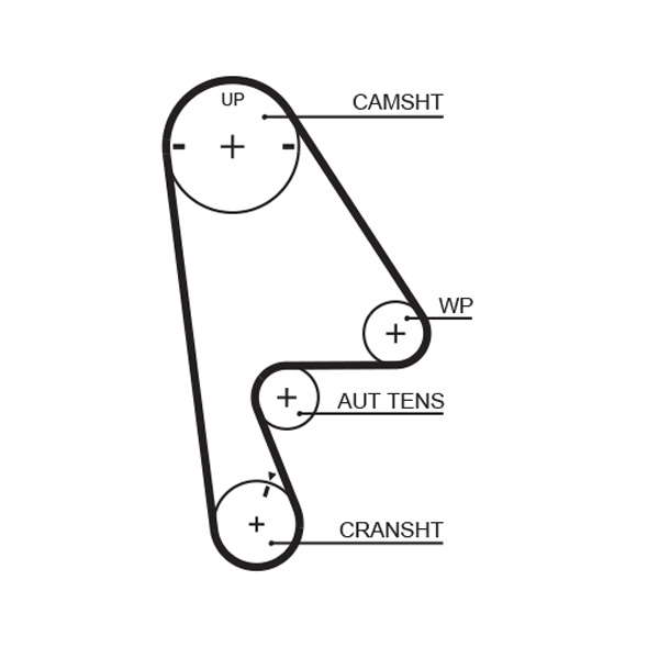 COURROIE DISTRIBUTION