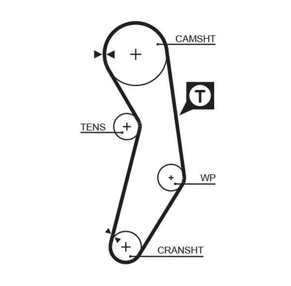 COURROIE DISTRIBUTION