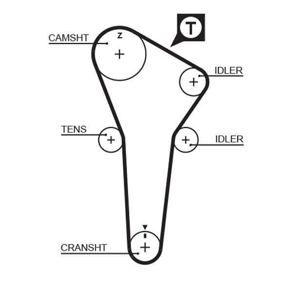 COURROIE DISTRIBUTION