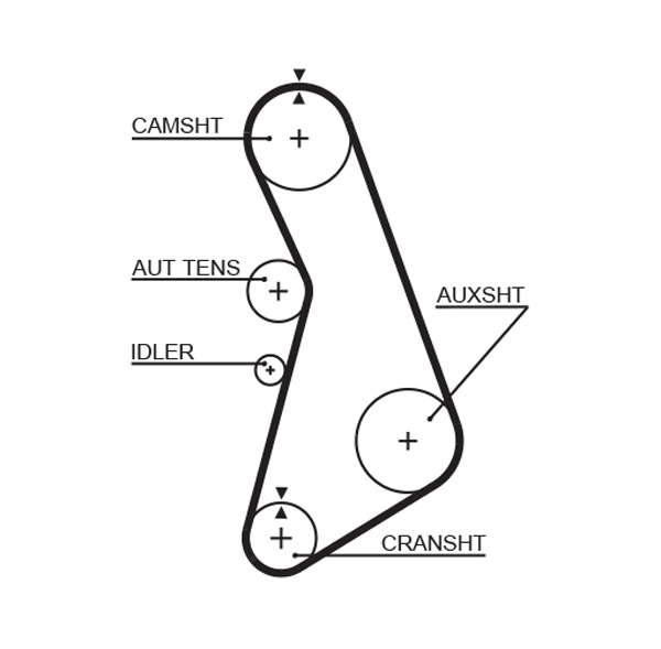COURROIE DISTRIBUTION