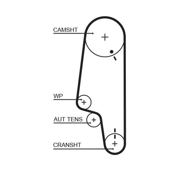 COURROIE DISTRIBUTION
