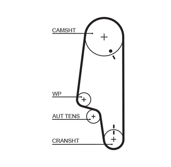 COURROIE DISTRIBUTION