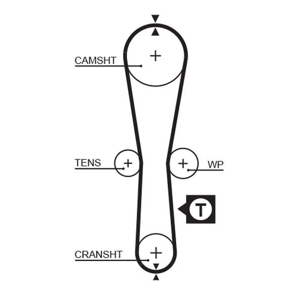 COURROIE DISTRIBUTION