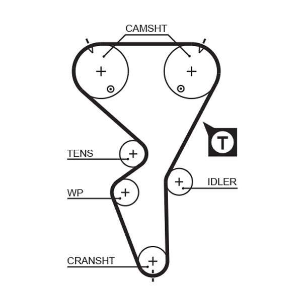 COURROIE DISTRIBUTION