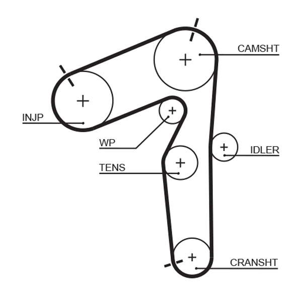 COURROIE DISTRIBUTION