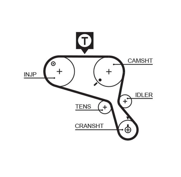COURROIE DISTRIBUTION
