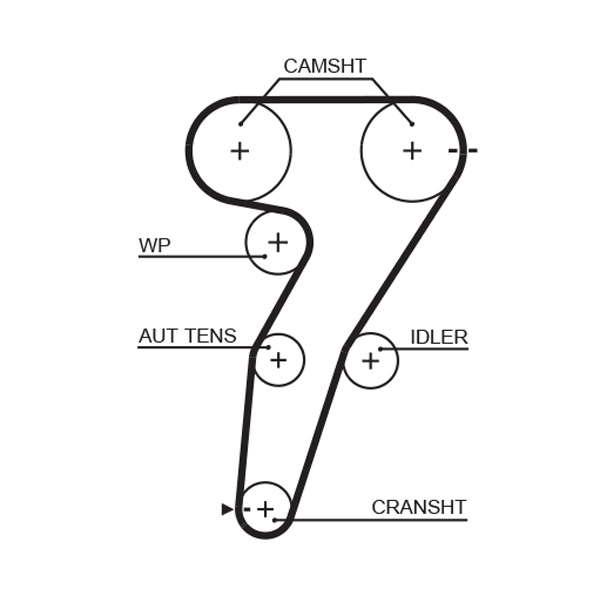 COURROIE DISTRIBUTION