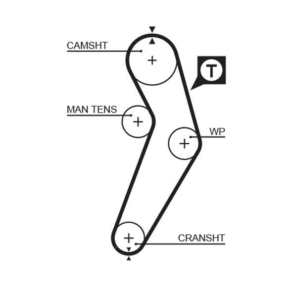 COURROIE DISTRIBUTION