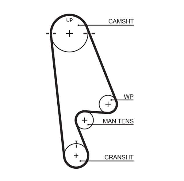 COURROIE DISTRIBUTION