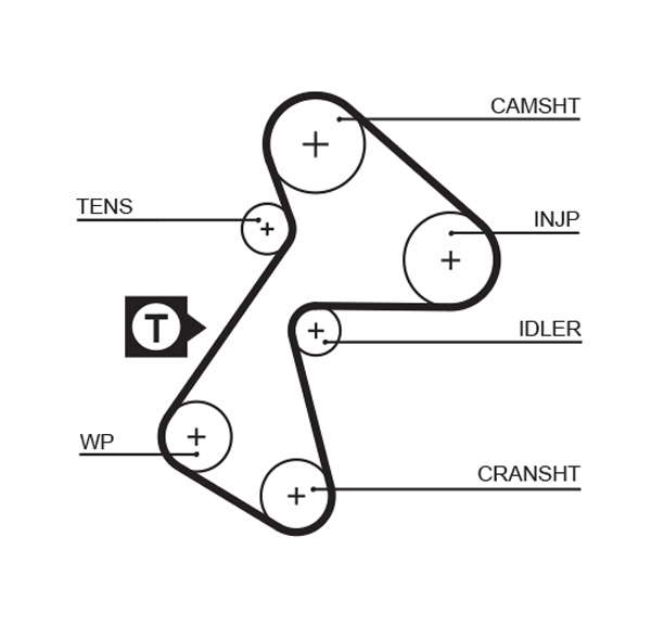 COURROIE DISTRIBUTION