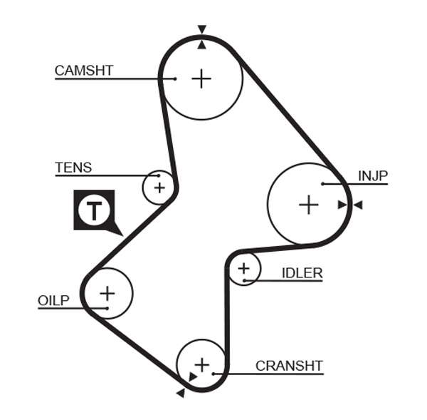 COURROIE DISTRIBUTION