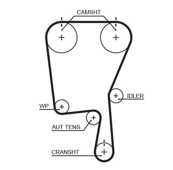 COURROIE DISTRIBUTION
