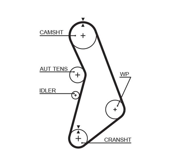 COURROIE DISTRIBUTION
