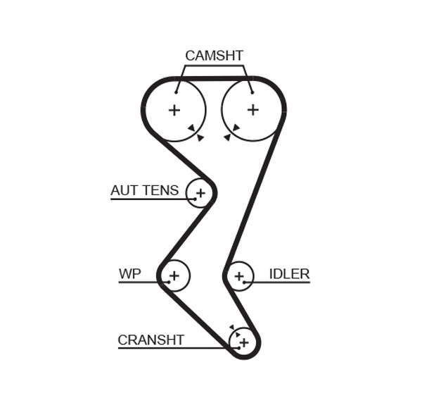 COURROIE DISTRIBUTION