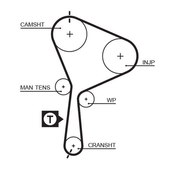 COURROIE DISTRIBUTION