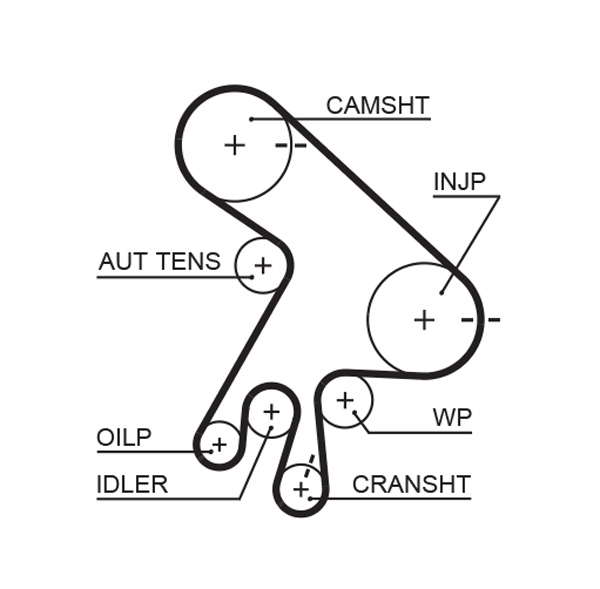 COURROIE DISTRIBUTION