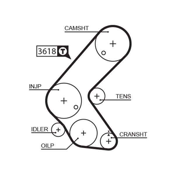COURROIE DISTRIBUTION