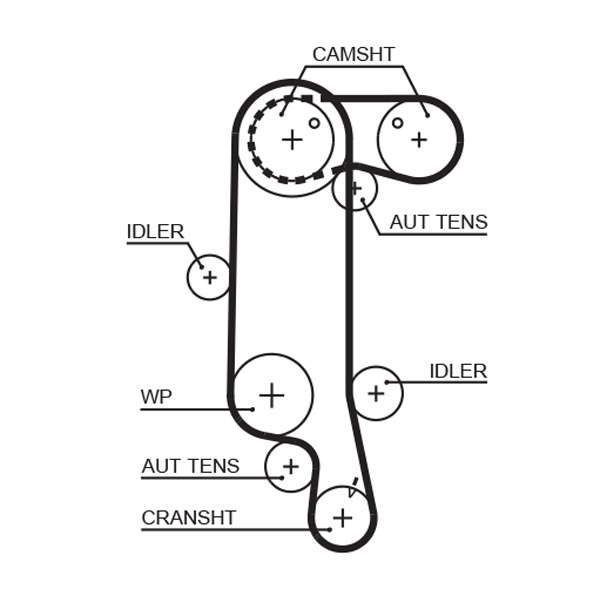 COURROIE DISTRIBUTION