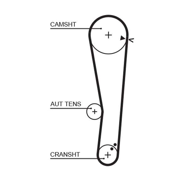 COURROIE DISTRIBUTION