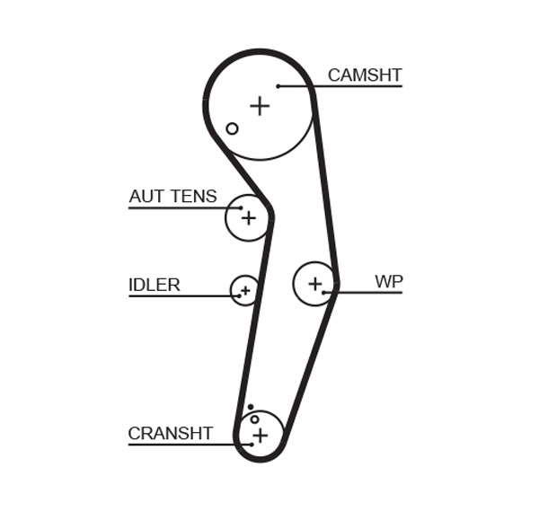 COURROIE DISTRIBUTION