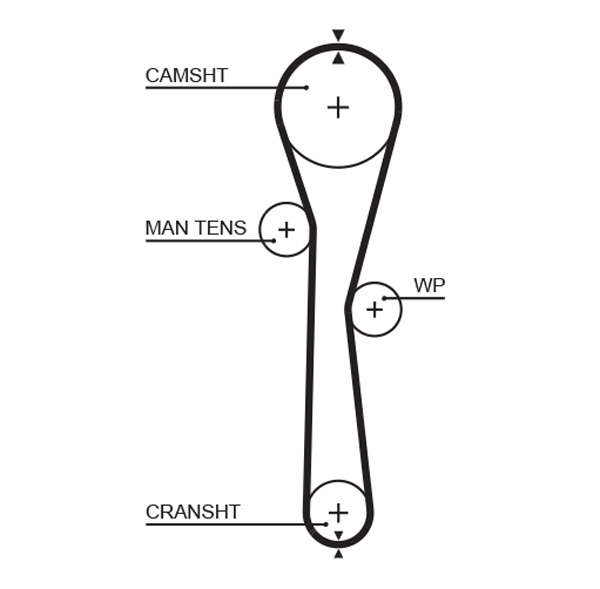 COURROIE DISTRIBUTION