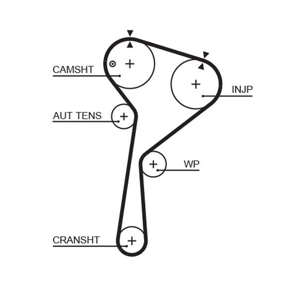 COURROIE DISTRIBUTION
