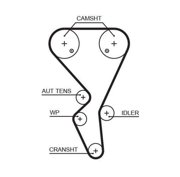 COURROIE DISTRIBUTION